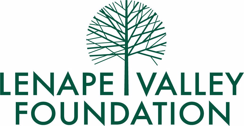 Lenape Valley Foundation logo