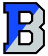 A capital letter B split in half with blue and gray.